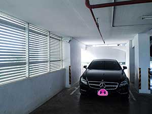 ผลงานช่างเสือ