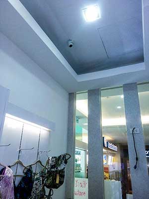 ผลงานช่างเสือ