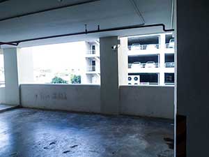 ผลงานช่างเสือ