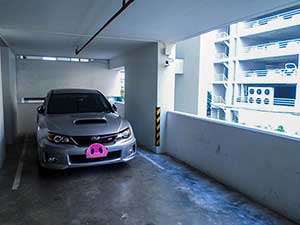 ผลงานช่างเสือ